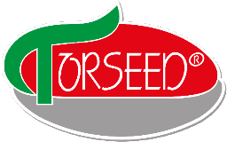TORSEED