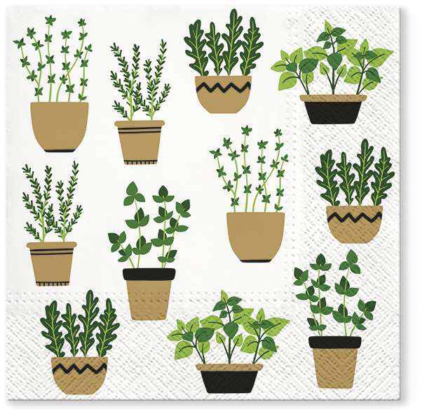 Zdjęcie produktu Serwetki Herbs in Pot