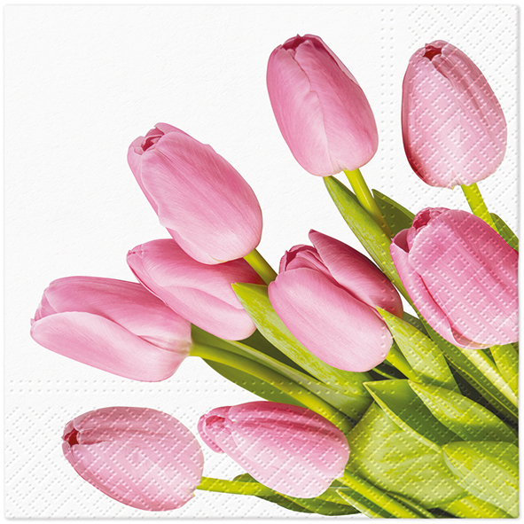 Zdjęcie produktu Serwetki 33x33 Decoupage Lovely Tulips 20szt.