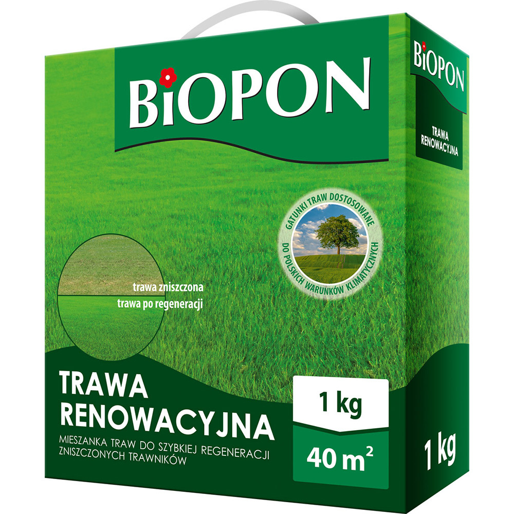 Zdjęcie produktu BOPON trawa renowacyjna 1kg - mieszanka kwalifikowana