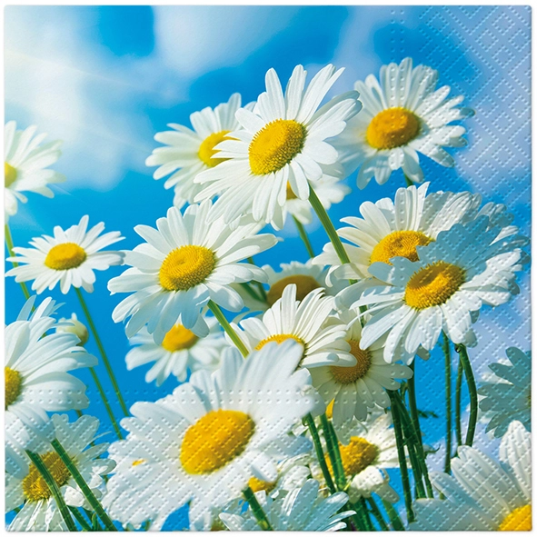 Zdjęcie produktu Serwetki 33x33 Decoupage Sun Daisies 20szt.