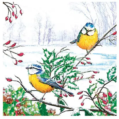 Zdjęcie produktu Serwetki Papierowe Świąteczne na Stół i Decoupage Eko 33x33 cm Daisy Winter Zimowe Sikorki Ptaszki 20 szt.