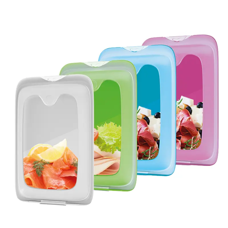 Zdjęcie produktu Pojemnik na wędliny ser do lodówki płaski Juypal Hogar 25x17x3,5 cm mix kolor 1szt.
