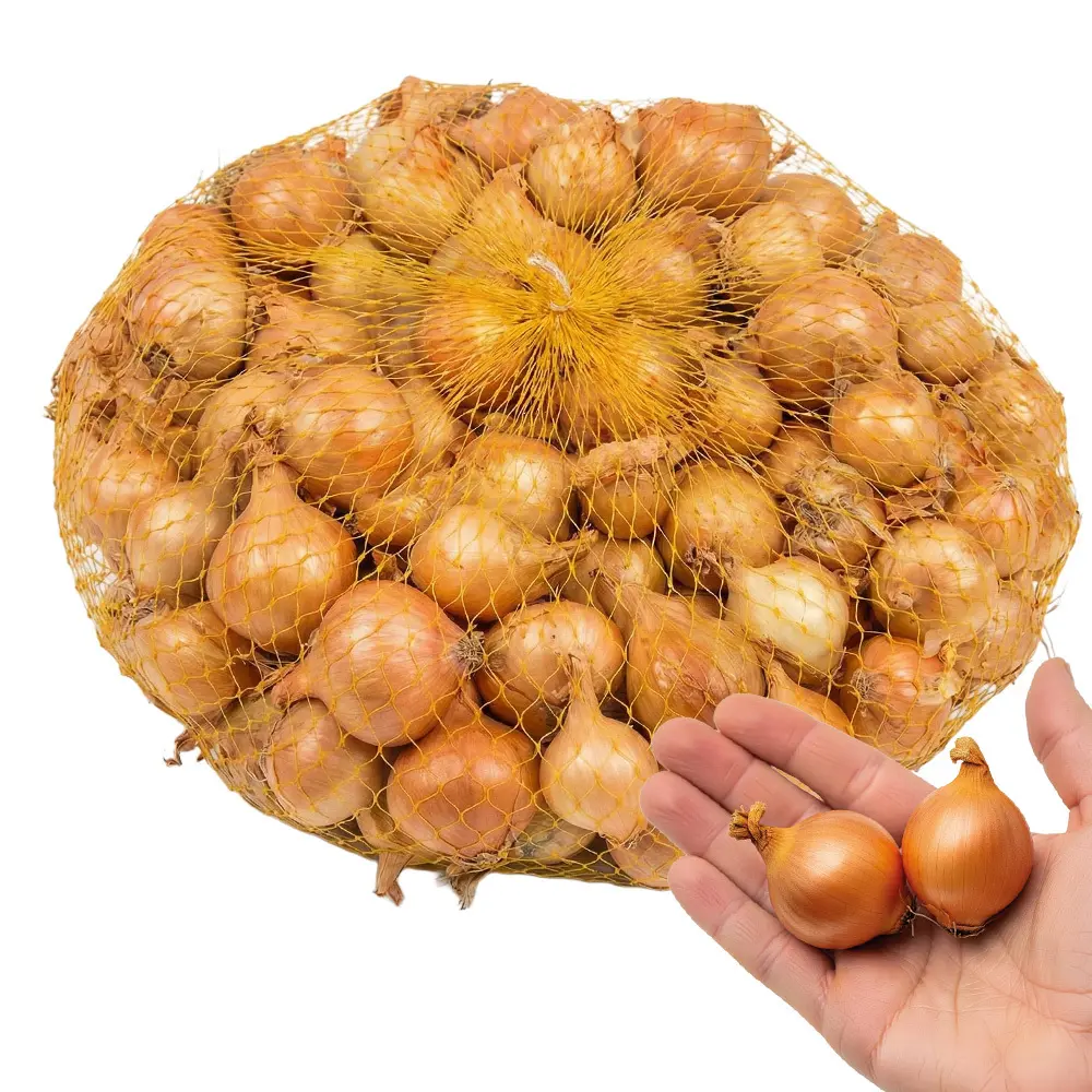Zdjęcie produktu Cebula dymka żółta Stuttgarter 500 g do sadzenia wiosenna 10-15 mm
