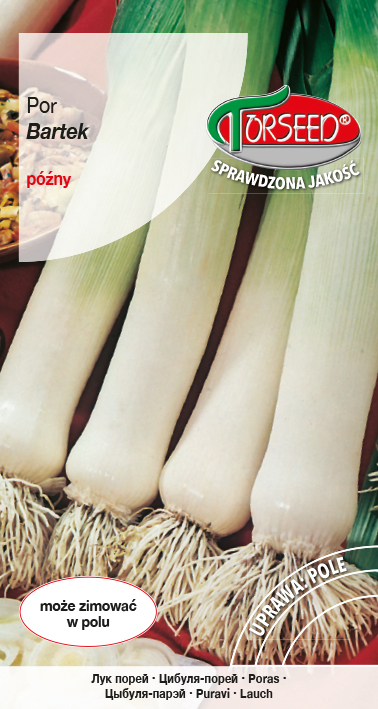 Zdjęcie produktu Por Bartek Zimowy 1g - Nasiona Porów - Uprawa w Ogrodzie