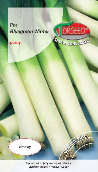 Zdjęcie produktu Por Bluegreen Winter Arkansas Zimowy 1g - Nasiona Porów - Uprawa w Ogrodzie
