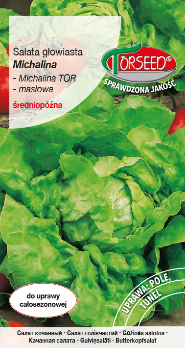 Zdjęcie produktu Sałata Masłowa Michalina 2g - Nasiona Sałaty - Uprawa w Ogrodzie