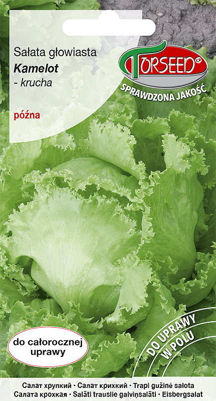 Zdjęcie produktu Sałata Krucha Kamelot Batavia 05g - Nasiona Sałaty - Uprawa w Ogrodzie
