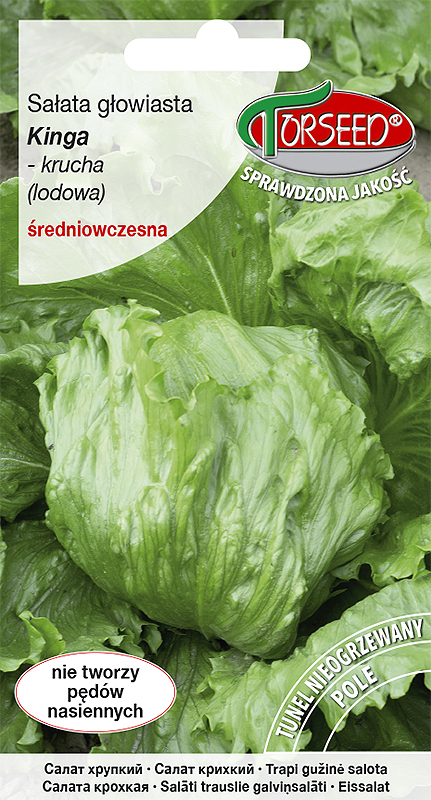 Zdjęcie produktu Sałata Krucha Kinga 05g - Nasiona Sałaty - Uprawa w Ogrodzie