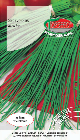 Zdjęcie produktu Szczypiorek Jowisz 1g - Nasiona Szczypiorku - Uprawa w Ogrodzie