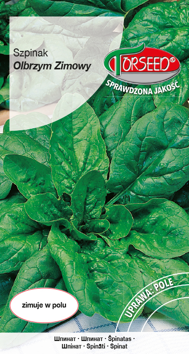 Zdjęcie produktu Szpinak Olbrzym Zimowy 10g - Nasiona Szpinaku - Uprawa w Ogrodzie