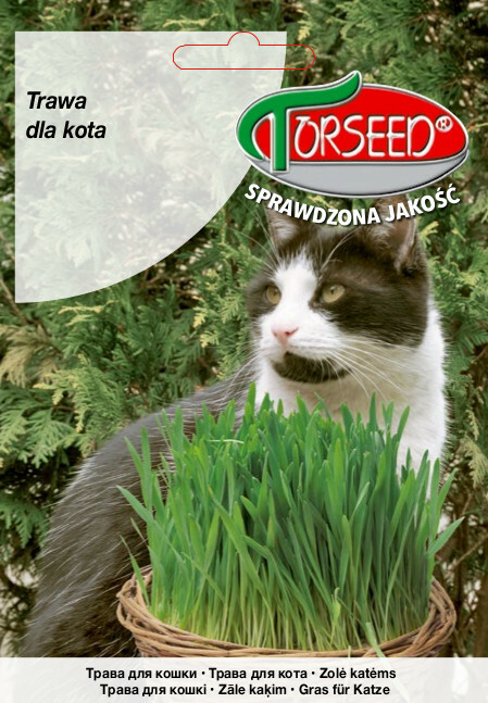 Zdjęcie produktu Trawa dla Kota 30g - Nasiona Trawy - Uprawa w Ogrodzie lub w Doniczkach