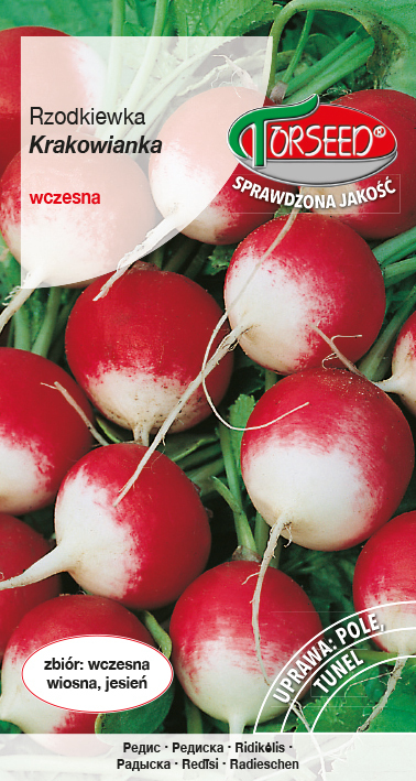 Zdjęcie produktu Rzodkiewka Krakowianka Czerwonobiała 10g - Nasiona Rzodkiewki - Uprawa w Ogrodzie