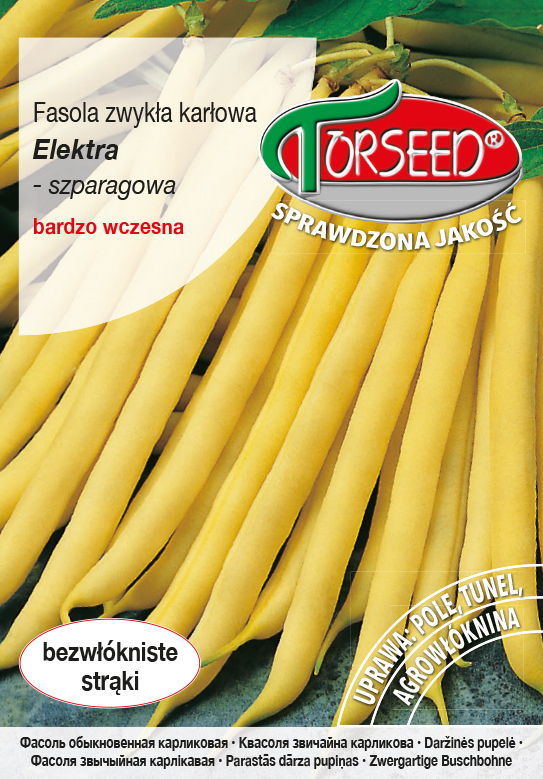 Zdjęcie produktu Fasola Karłowa Elektra Żółtostrąkowa 30g - Nasiona Fasoli - Uprawa w Ogrodzie