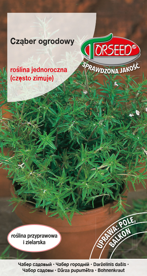 Zdjęcie produktu Cząber Ogrodowy Satureja Hortensis 1g - Nasiona Ziół Ogrodowych