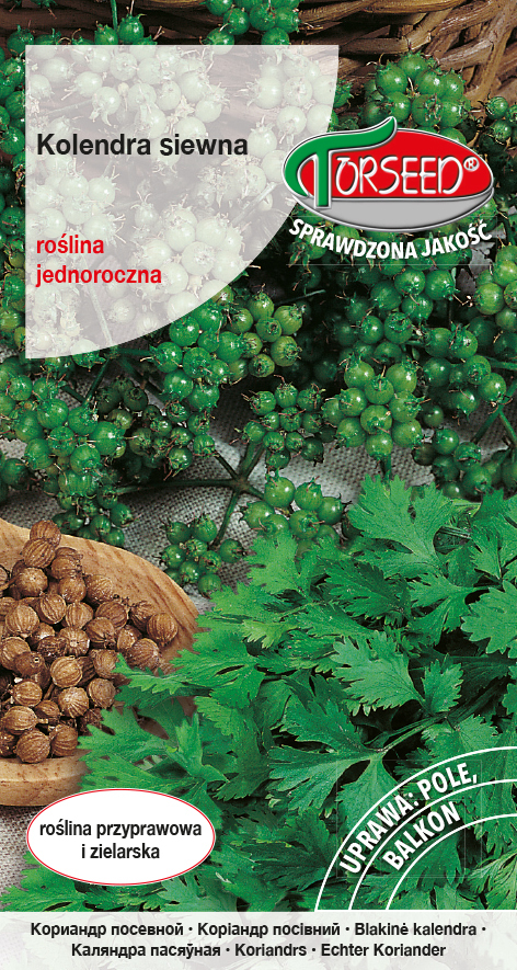 Zdjęcie produktu Kolendra Siewna Coriandrum Sativum 2g - Nasiona Ziół Ogrodowych