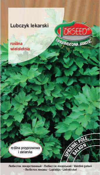 Zdjęcie produktu Lubczyk Lekarski Levisticum Officinale 02g - Nasiona Ziół Ogrodowych - do Ogrodu