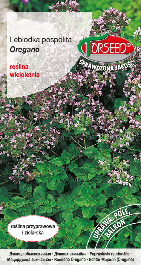 Zdjęcie produktu Oregano Pospolita (Lebiodka) Origanum Vulgare 02g - Nasiona Ziołowe do Ogrodu