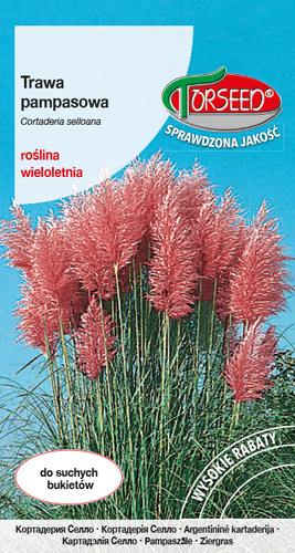 Zdjęcie produktu Trawa Pampasowa Różowa 01g - Nasiona Roślin Ozdobnych do Ogrodu