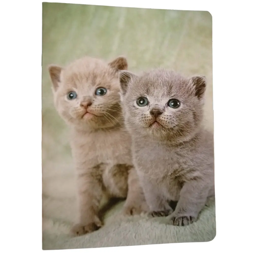 Zdjęcie produktu Zeszyt Szkolny w Linię A5 16 Kartek Papier 60g Miękka Oprawa mix wzór 1 szt.