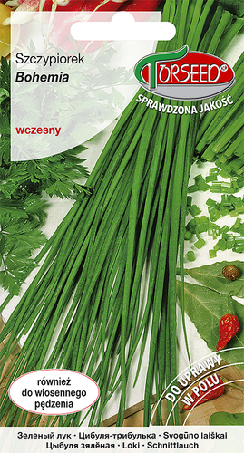 Zdjęcie produktu Szczypiorek Bohemia 1g - Nasiona Szczypiorku do Ogrodu