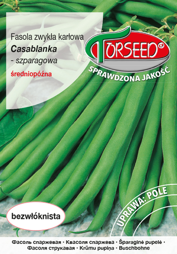 Zdjęcie produktu Fasola Karłowa Casablanka Zielonostrąkowa 30g - Nasiona Fasoli - Uprawa w Ogrodzie