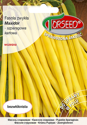 Zdjęcie produktu Fasola Karłowa Maxidor Żółtostrąkowa 30g - Nasiona Fasoli - Uprawa w Ogrodzie