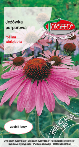 Zdjęcie produktu Jeżówka Purpurowa Echinacea Purpurea 02g - Nasiona Kwiatów Ozdobnych - Kwiaty do Ogrodu