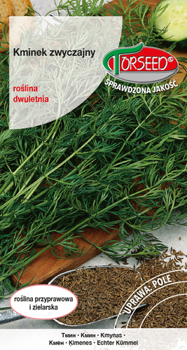 Zdjęcie produktu Kminek Zwyczajny Carum Carvi 2g - Nasiona Ziół do Ogrodu