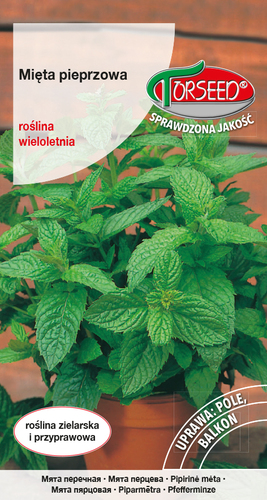 Zdjęcie produktu Mięta Mentha Piperita 01g - Nasiona Ziół do Ogrodu