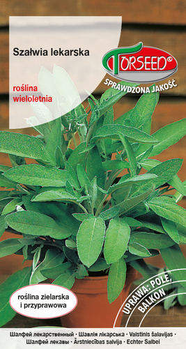 Zdjęcie produktu Szałwia Lekarska Salvia Officinalis 1g - Nasiona Ziołowe do Ogrodu